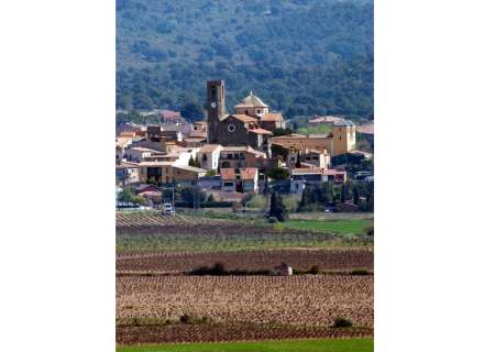 Parcel·la edificable de 800 m² a Garriguella14