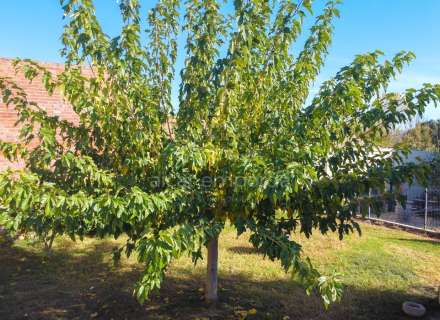 A Sta Llogaia privacitat, llum natural, espai a l’aire lliure... 396 m2 útils més 400 m2 de terreny 100% edificable.32
