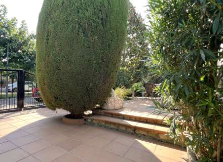 Encantadora casa de planta baja con jardín en l’Armentera15