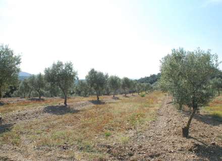 Construisez la maison de vos rêves. Ne manquez pas cette opprotunité!16