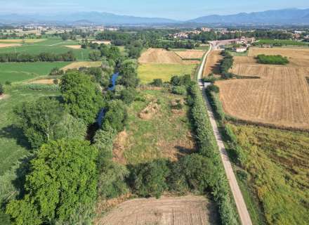 Gran terreny rústic a Peralada.9