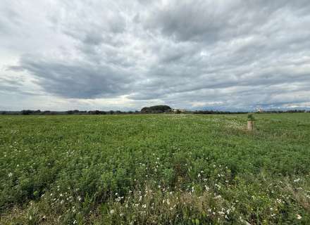 Es ven ampli terreny rústic de seca de 25000 m7