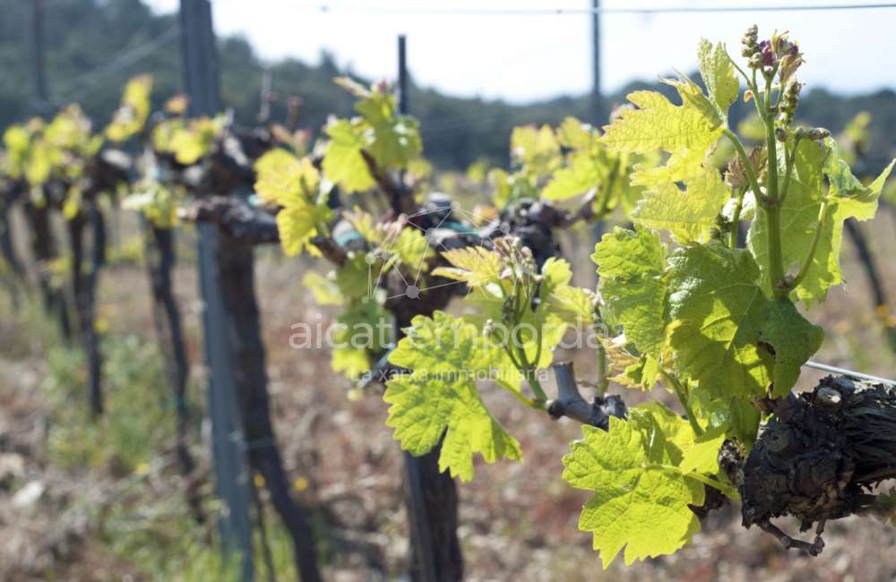 Construisez la maison de vos rêves. Ne manquez pas cette opprotunité!14