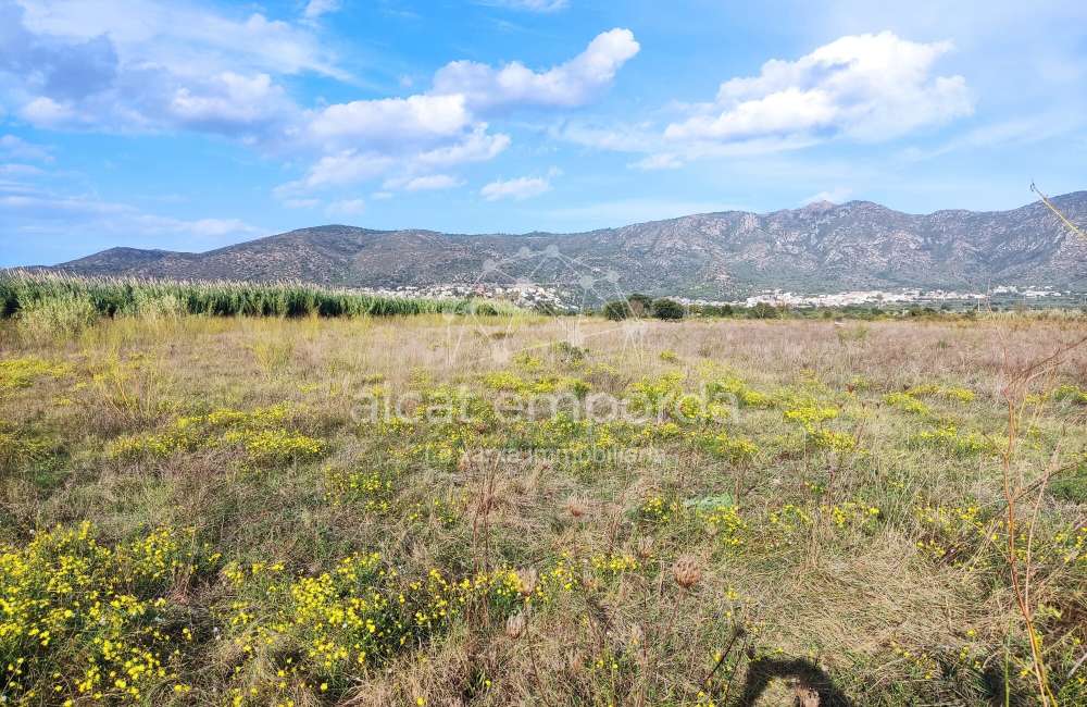 Gran terreno para plantar viñedos.13