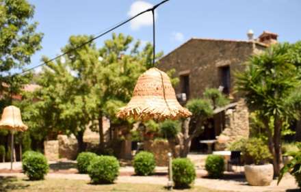 Transfer and rent buisness + housing