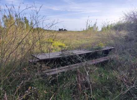 Gran terreno para plantar viñedos.1
