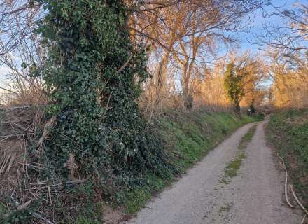 Gran terreny rústic a Peralada.16