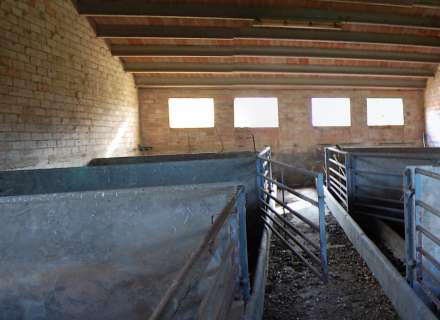 Magnifica finca ganadera y forestal en Vidrà a 3,5 km del pueblo con un camino de acceso pavimentado. Con una extensión de 108 hectáreas.7