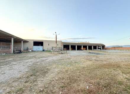 Finca en Riumors45