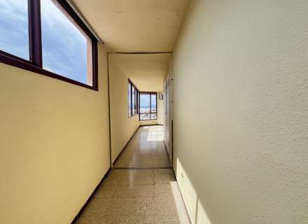 Estudio con licencia turística.21