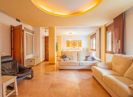 Pis al cor de Figueres1