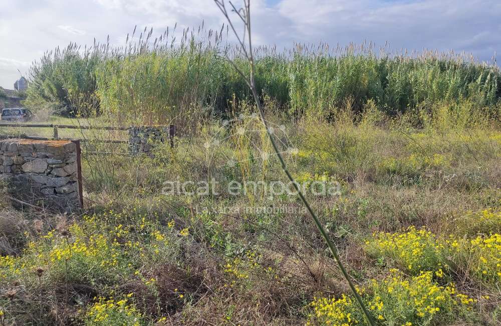 Gran terreno para plantar viñedos.11