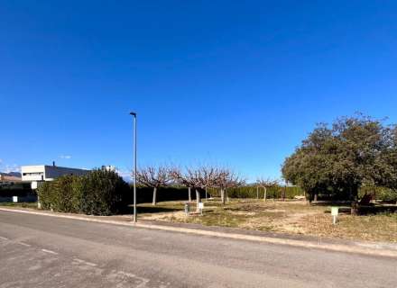 Parcela urbana (Navata pueblo)6