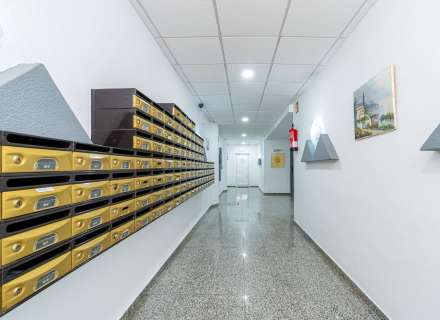 Renovated studio apartment13