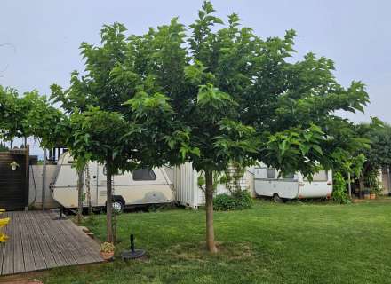 Hort en venda zona Hostalets de LLers44