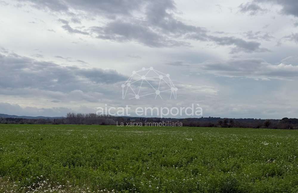 Es ven ampli terreny rústic de seca de 25000 m4