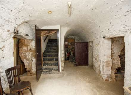 Casa del segle XIX amb ampli terreny a Palau de Santa Eulalia36