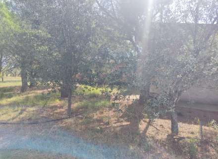 Terreny agrari de 20.144 m² amb caseta de 147 m² legalitzada.9