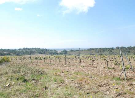 Grand terrain double de 1604m2 pour construire votre maison avec piscine et jardin parfait. Une offre spéciale !17