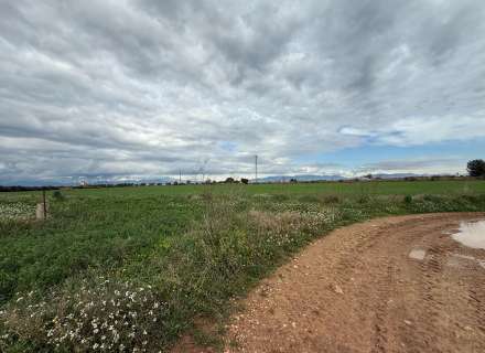 Es ven ampli terreny rústic de seca de 25000 m3