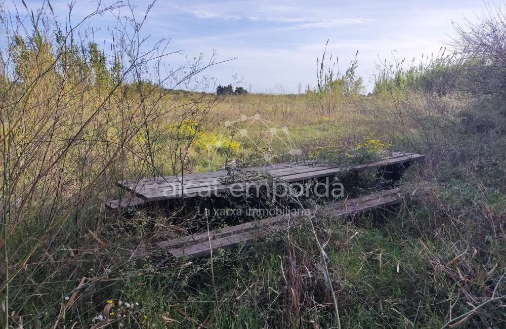 Gran terreno para plantar viñedos.1