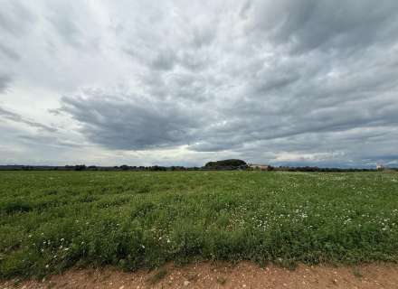 Es ven ampli terreny rústic de seca de 25000 m5