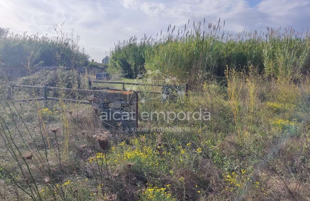 Gran terreno para plantar viñedos.12