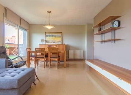 Busques un pis amb terrassa, llum natural i vistes a Figueres?1