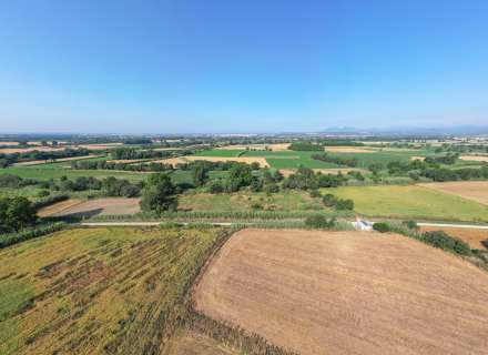 Gran terreny rústic a Peralada.6