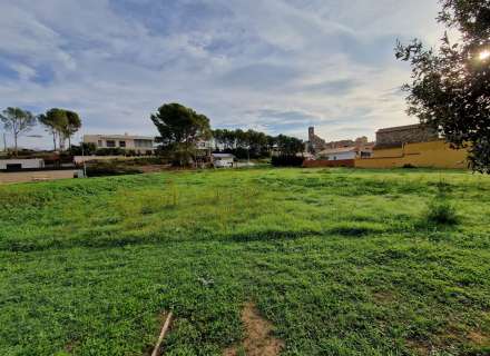 Parcel·la edificable de 800 m² a Garriguella7