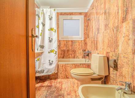 Pis al cor de Figueres22