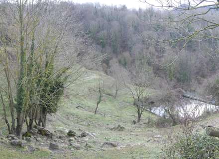 Magnifica finca ganadera y forestal en Vidrà a 3,5 km del pueblo con un camino de acceso pavimentado. Con una extensión de 108 hectáreas.5