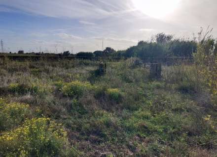 Gran terreno para plantar viñedos.10