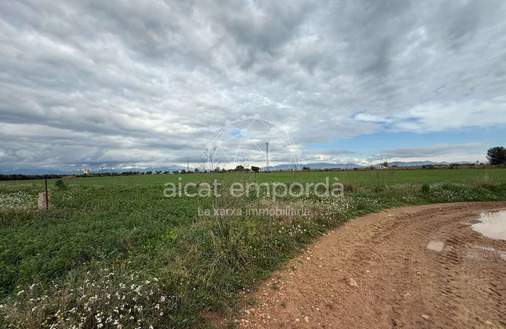 Es ven ampli terreny rústic de seca de 25000 m3