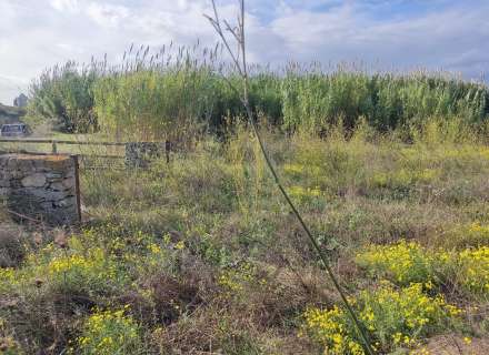 Gran terreno para plantar viñedos.11