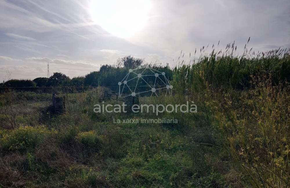 Gran terreno para plantar viñedos.7